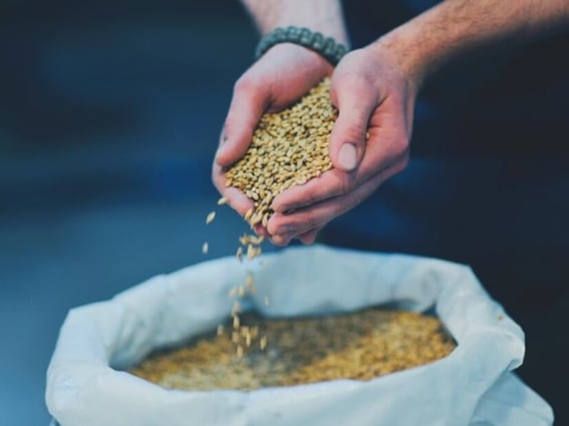 La cerveza artesanal de Baja Norte sigue su ruta