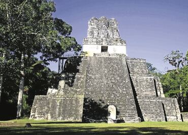 Deforestación de la cultura maya afectó suelo
