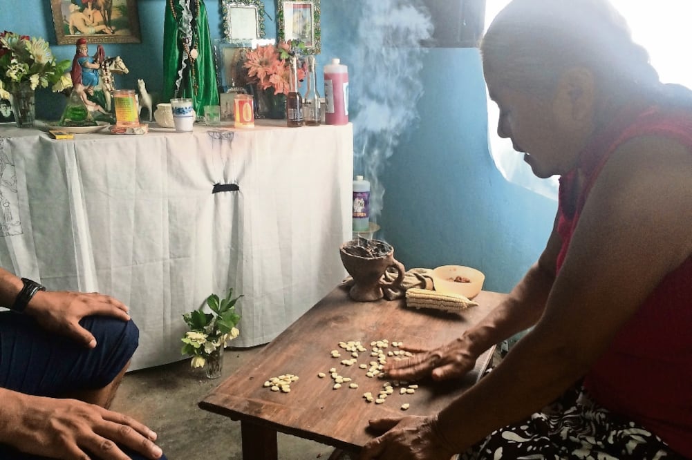 Fidelfa es originaria de San Juan Guichicovi, importante comunidad mixe del Istmo de Tehuantepec y en donde sólo dos personas tienen saben leer el maíz en rituales de sanamiento o curaciones (ROSELIA CHACA. EL UNIVERSAL)