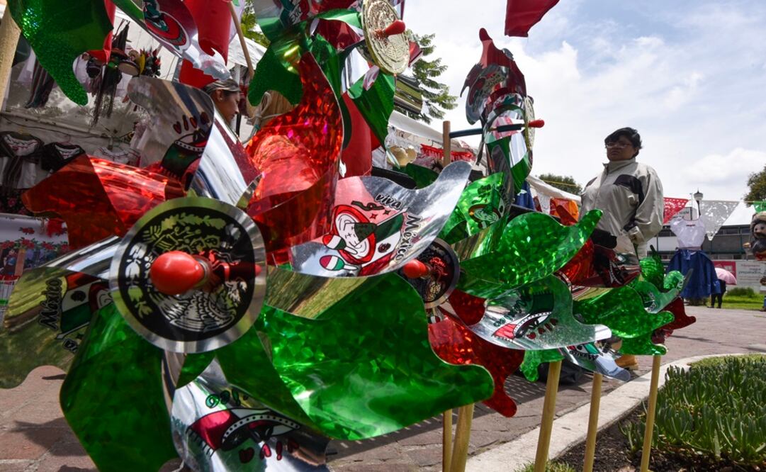 Foto: CRISANTA ESPINOSA AGUILAR /CUARTOSCURO.COM