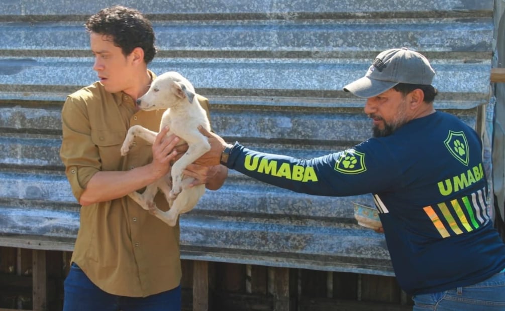 El titular de la UPA, señaló que todos los ejemplares fueron puestos a salvo y reciben atención médica, alimento y resguardo. | Foto: especial.