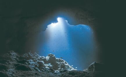 Proyecto UNAM: Nuevo objetivo: las profundidades marinas 