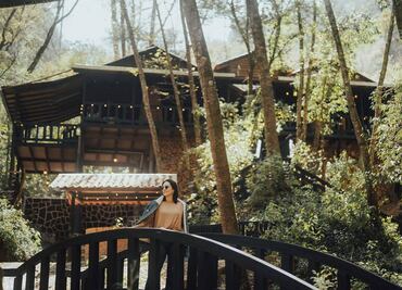 Llega la temporada de luciérnagas a Cabañas Tejería en Veracruz