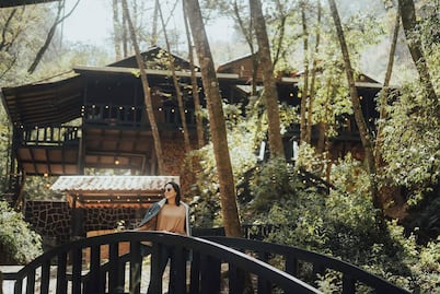 Llega la temporada de luciérnagas a Cabañas Tejería en Veracruz