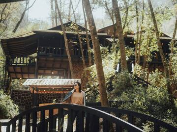 Llega la temporada de luciérnagas a Cabañas Tejería en Veracruz