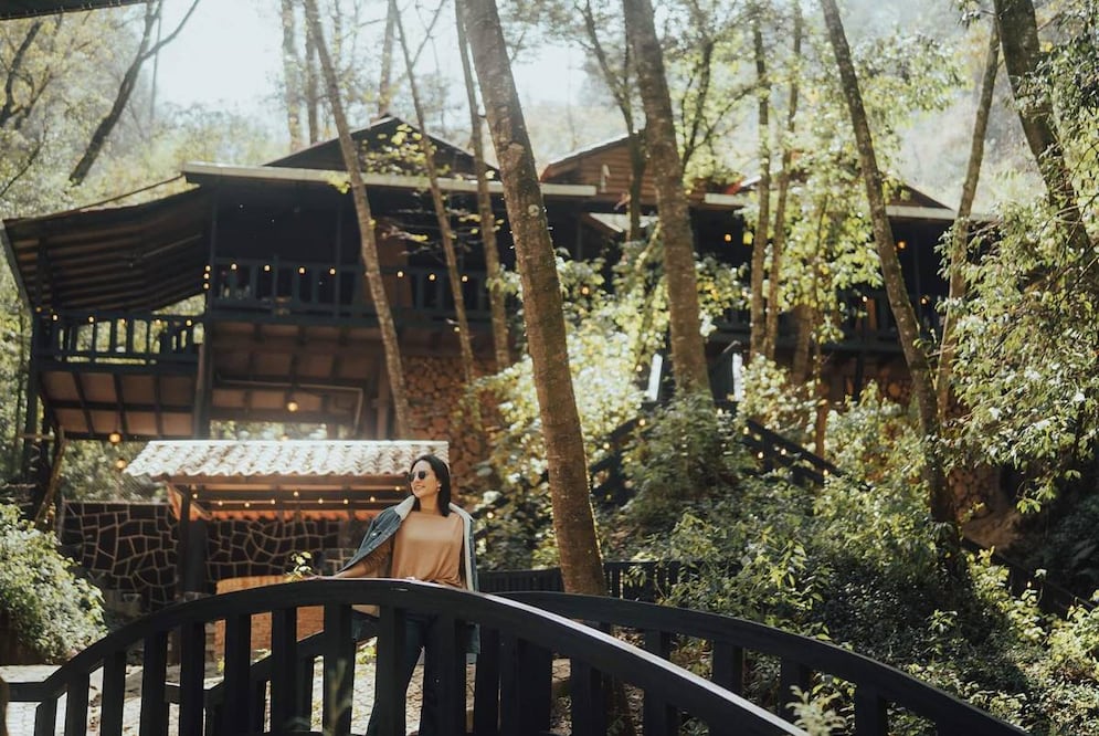 De junio hasta agosto es la temporada de luciérnagas. Foto: Cabañas Tejería