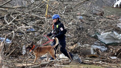 Una inusual supercélula de tornados recorrió 482 kilómetros en EU, ¿por qué sucedió este fenómeno climático?