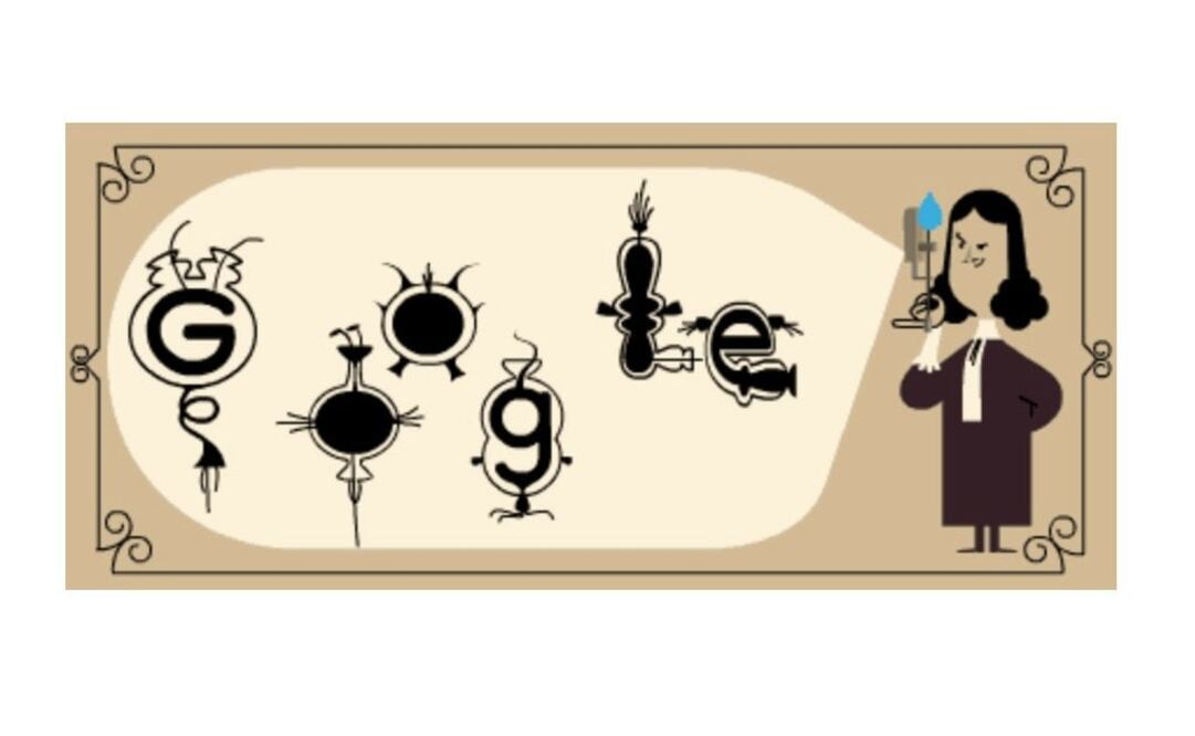 Leeuwenhoek, nació el 24 de octubre de 1632, y se dedicó al estudio de la estructura de la lente óptica, las estrías en los músculos, las piezas bucales de los insectos y la estructura fina de las plantas