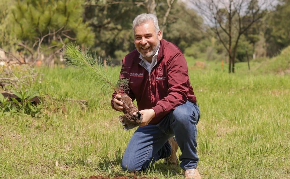 Durante las campañas de reforestación 2022-2025, se plantaron 36 millones 935 mil árboles. | Foto: Especial.