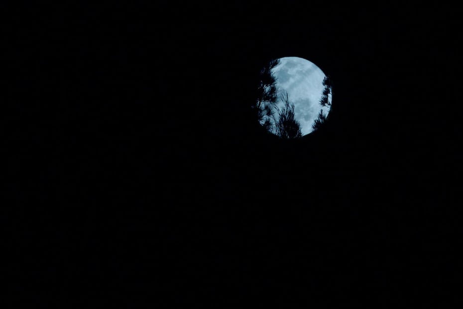 Luna rosa 5 de abril en CDMX / Foto: Germán Espinosa. EL UNIVERSAL
