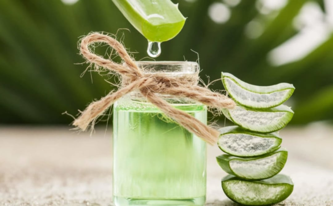 Conoce los beneficios de la sábila en tu pelo y cuídalo de una forma más natural. Foto Instagram 