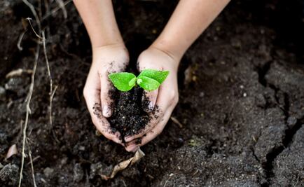 Companies join world initiative to protect the environment