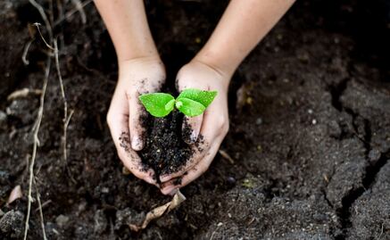 Companies join world initiative to protect the environment