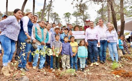 Evelyn Salgado anuncia siembra de 300 mil plantas en áreas afectadas por incendios forestales