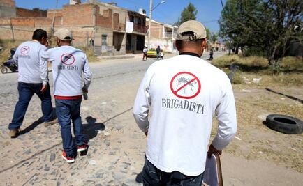 OMS y OPS, preocupados por contagio sexual del zika