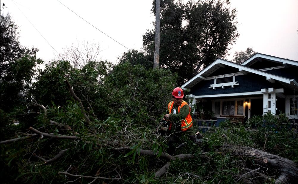 Migrantes se unieron voluntariamente en varias brigadas para remover árboles caídos y escombros en las zonas afectadas por los fuertes vientos y los mortales incendios en Los Ángeles. Foto: EFE