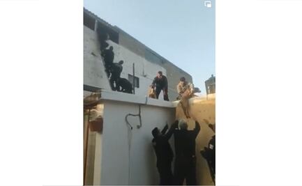 VIDEO Policías forman cadena humana para rescatar a perros atrapados en incendio de Tultitlán