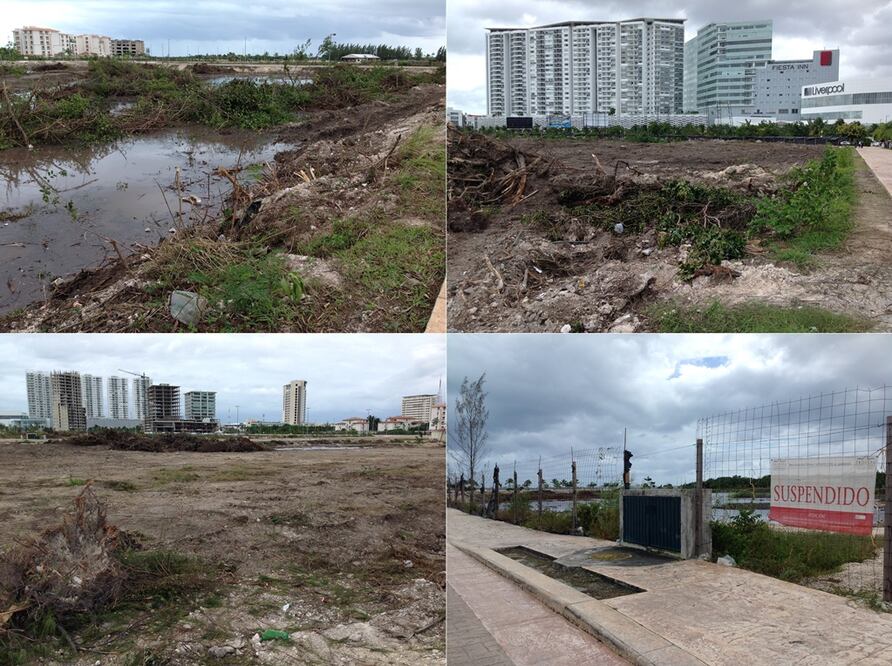 Recorrido por el polígono de "Malecón Tajamar", en Cancún, a dos días de la entrada de la maquinaria con que se desmontaron los manglares (Fotos: Adriana Varillas) 