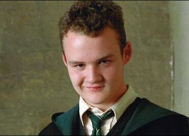 Actor de Harry Potter ahora es peleador de MMA