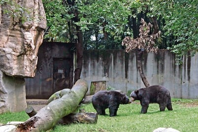 Zoológicos alientan venta ilegal de especies: expertos