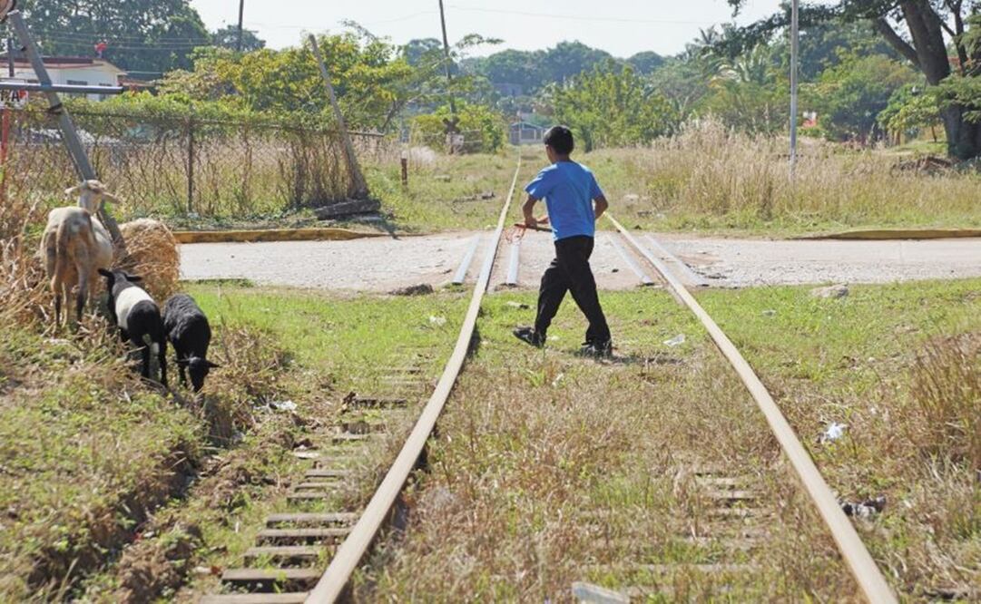 Foto: Edwin Hernández