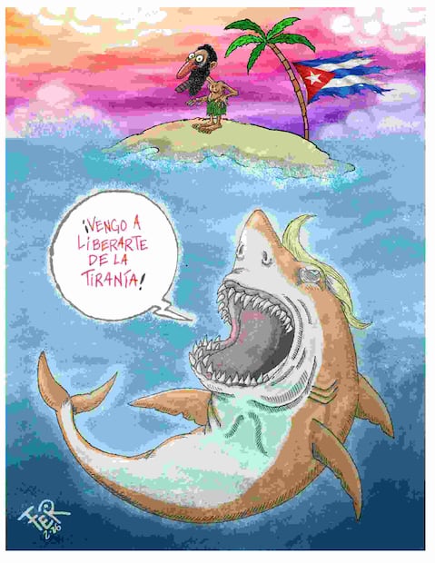 Cartón de FER