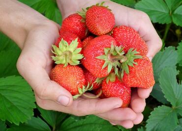 7 alimentos que limpian los dientes naturalmente