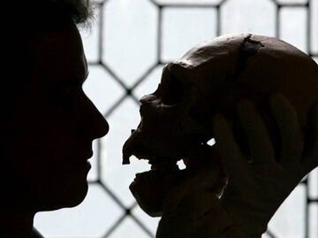 ¿Quieres saber cuándo morirás?