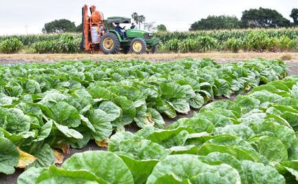 Tamaulipas se coloca en primer lugar nacional en crecimiento de actividades primarias: Desarrollo Rural; "tenemos un enorme potencial"