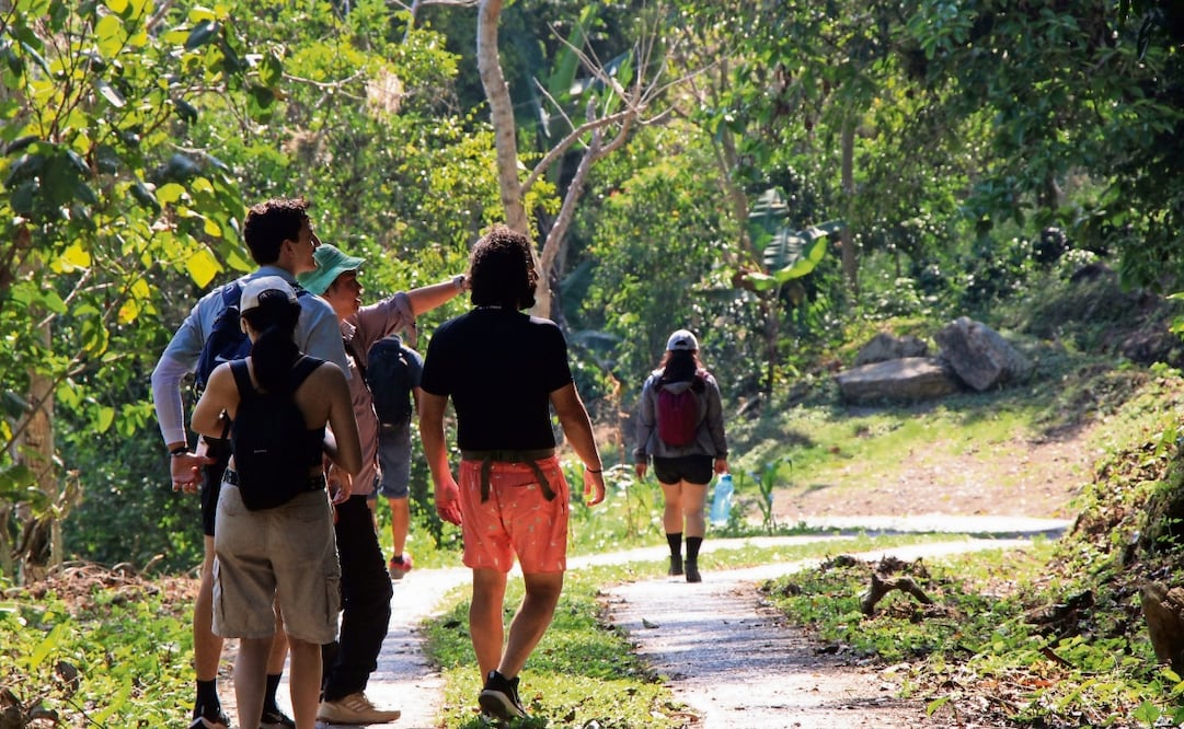 Xicotepec, municipio ubicado en la sierra norte de Puebla, es un lugar de magia, cultura y riqueza natural que ofrece a los visitantes alrededor de 110 kilómetros de bosque de niebla. Foto: Omar Contreras / EL UNIVERSAL