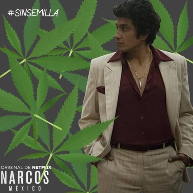 Caro Quintero y cómo "creó" la marihuana sin semilla