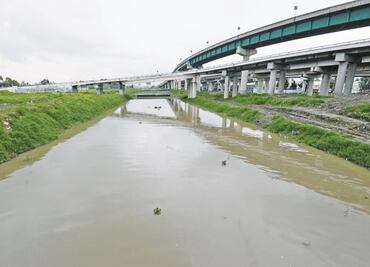 Organizan primera jornada de limpia del Río Lerma, en el Edomex; Profepa plantó 200 árboles y recolectó basura