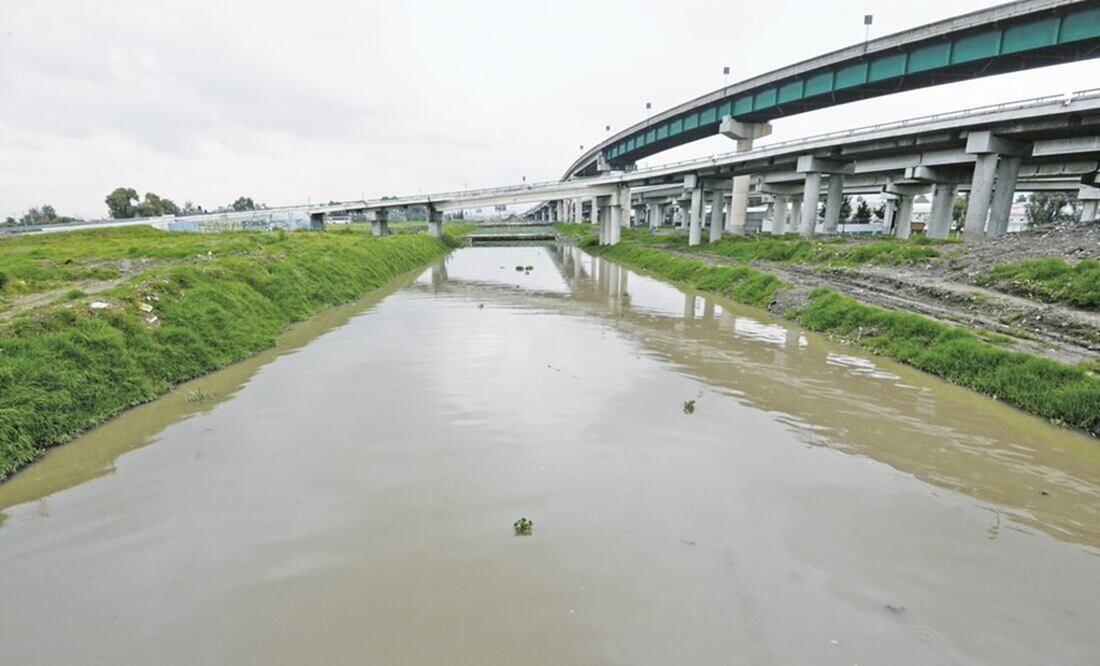 Organizan primera jornada de limpia del Río Lerma, en el Edomex; Profepa plantó 200 árboles y recolectó basura Foto: Especial