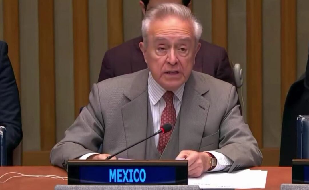 Héctor Vasconcelos, representante de México ante la ONU, durante la revisión de la Agencia de Naciones Unidas para los Refugiados de Palestina en Medio Oriente. Foto: Especial