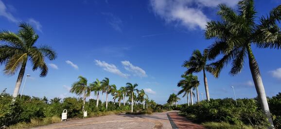 A 4 años de su desvastación, Tajamar será restaurado