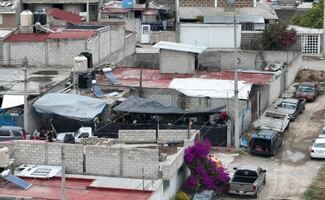 Desmantelan pelea de gallos clandestina en Pachuca; detienen a 37 personas y aseguran ocho aves