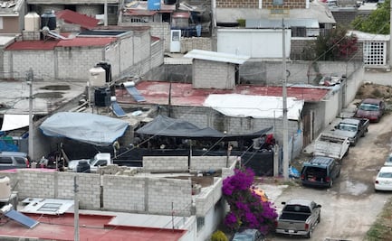 Desmantelan pelea de gallos clandestina en Pachuca; detienen a 37 personas y aseguran ocho aves