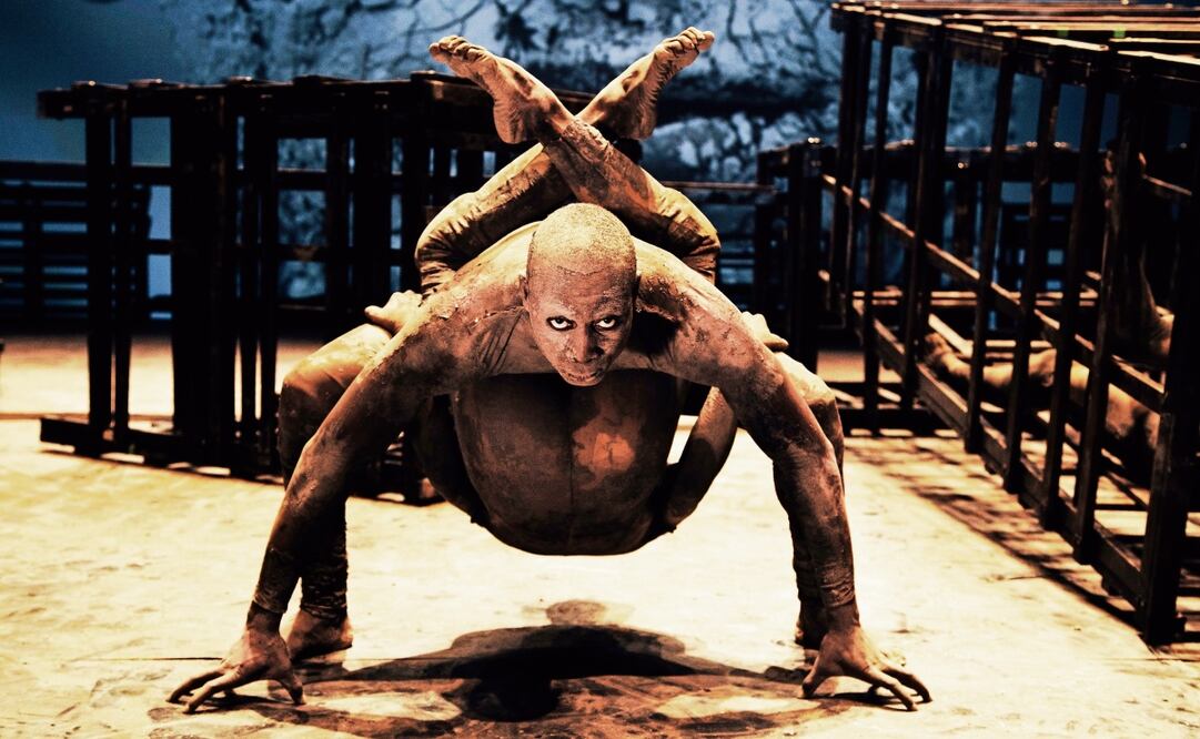 Perro sin plumas se presenta el 30 y el 31 de octubre, a las 18:00 horas, en la sala Miguel Covarrubias del CCU; y en el Festival Internacional Cervantino los días 25 y 26, en el Auditorio del Estado. Foto: Cultura UNAM