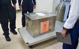 Liberan en Chihuahua primer lote de 2.5 millones de moscas estériles contra gusano barrenador; arranca producción diaria