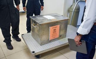 Liberan en Chihuahua primer lote de 2.5 millones de moscas estériles contra gusano barrenador; arranca producción diaria