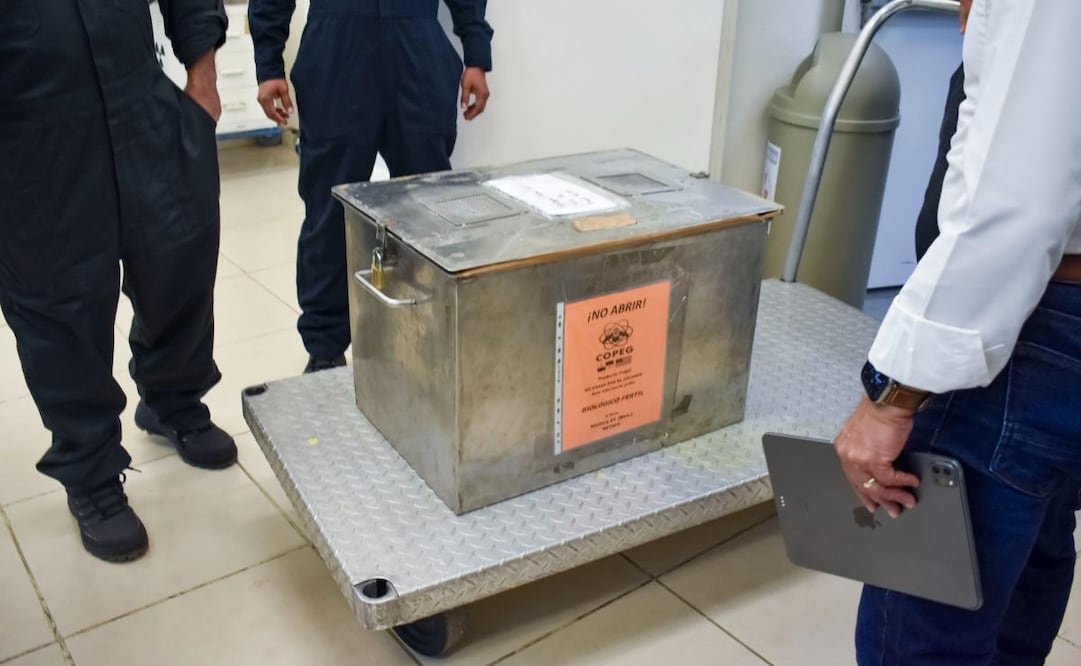 Liberan en Chihuahua primer lote de 2.5 millones de moscas estériles contra gusano barrenador. Foto: Senasica