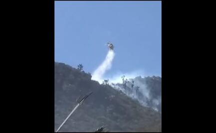 Controlan incendio forestal en Nuevo León; afectó 25.6 hectáreas