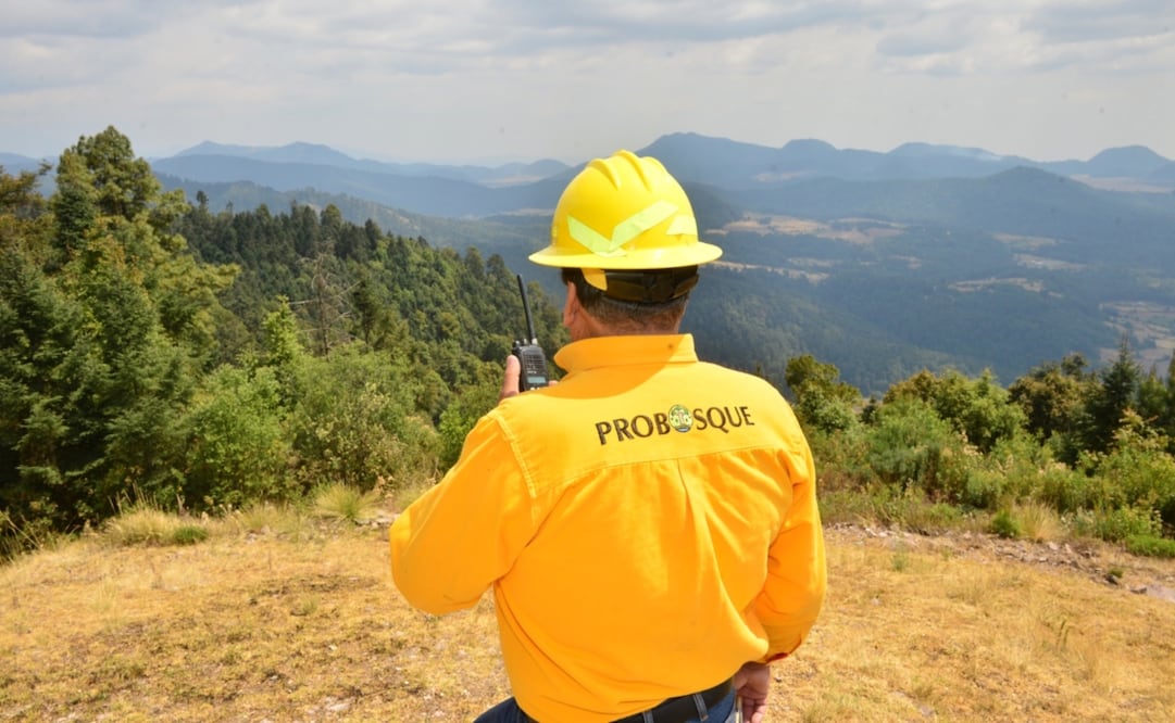 Implementan medidas en el Estado de México para combatir los incendios forestales. Foto: especial