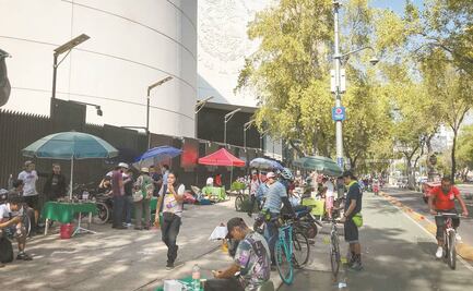 Apuestan por liberar a procesados por cannabis