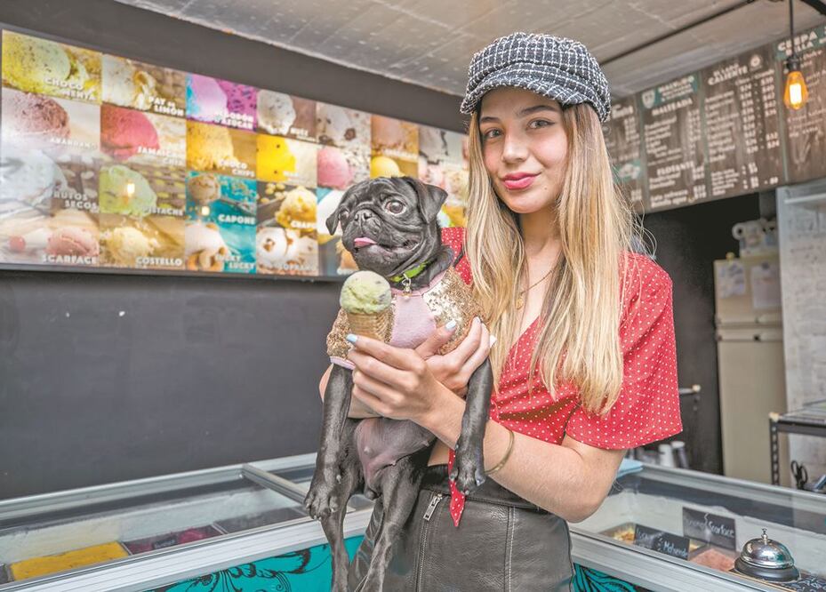 Foto: Sergio Tapia / EL UNIVERSAL