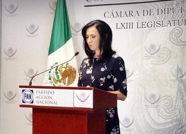 Diputada del PAN renuncia a bono secreto