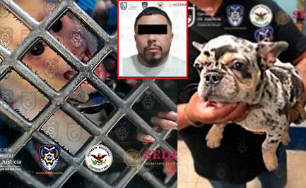 Video. Un mono, un perro bulldog y camionetas, lo asegurado a El Rey de la Piedra