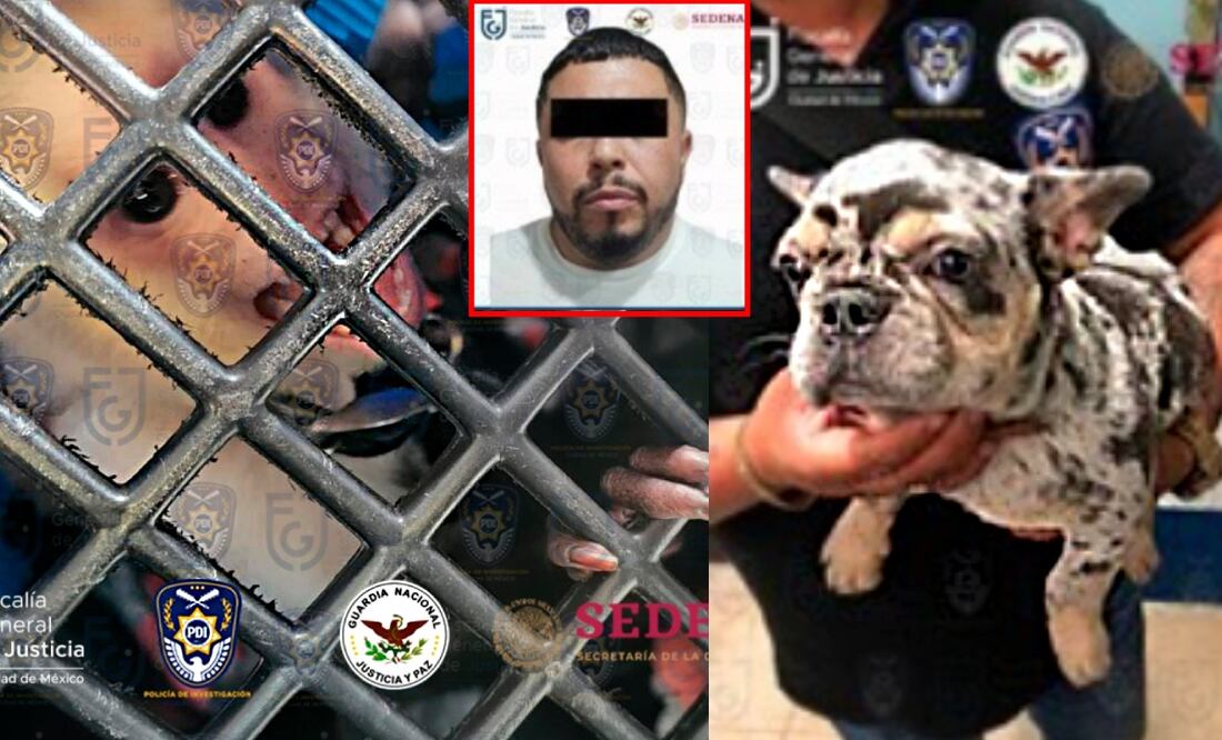 Foto: Especial/El Universal/