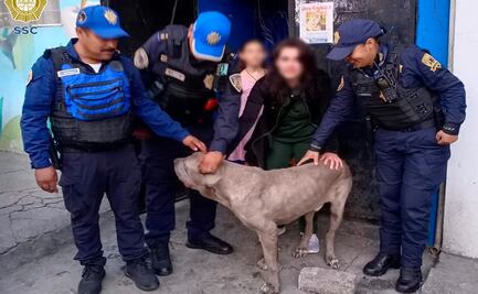Policías rescatan a Canelo de un camellón en Iztacalco; logran reunirlo con su familia