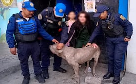 Policías rescatan a Canelo de un camellón en Iztacalco; logran reunirlo con su familia